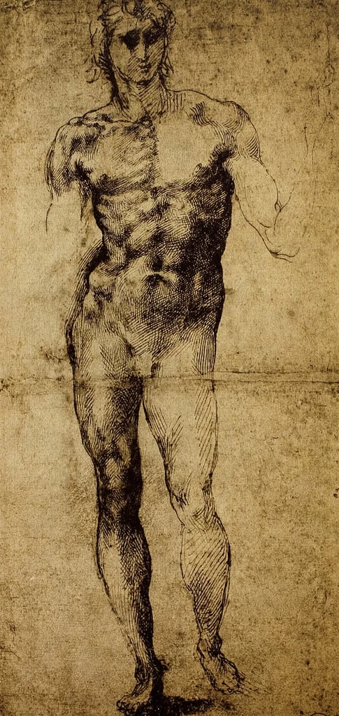 Studio per un nudo maschile - Louvre, Parigi